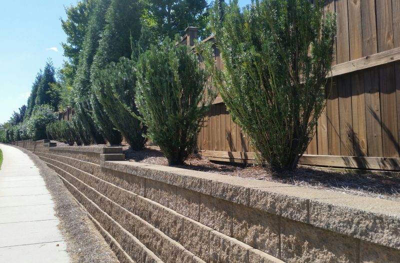 Landscape Wall Construction in Clermont, FL