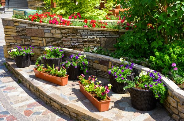 Wall Landscaping
